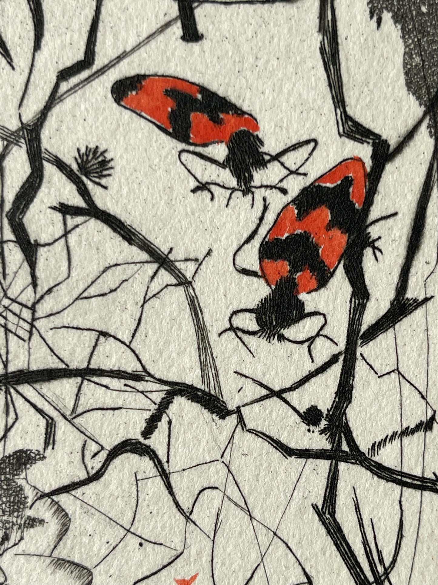 Ginette SEXER : Les insectes - Gravure originale signée