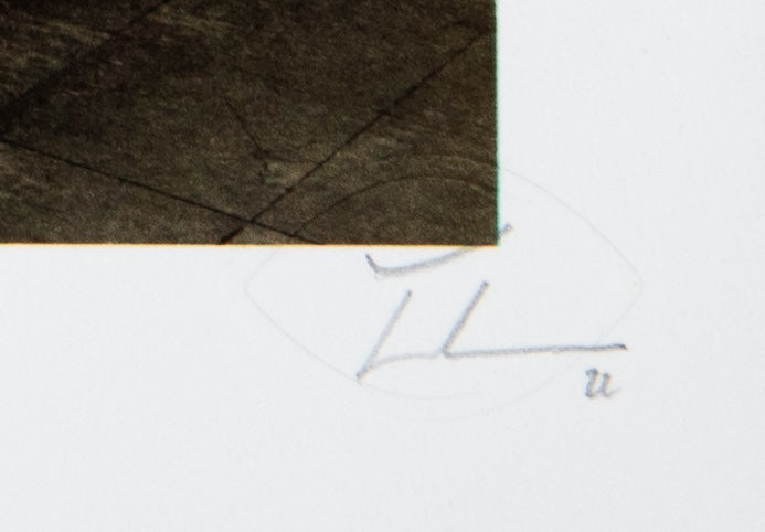 JR : Palais de Tokyo - Lithographie originale signée
