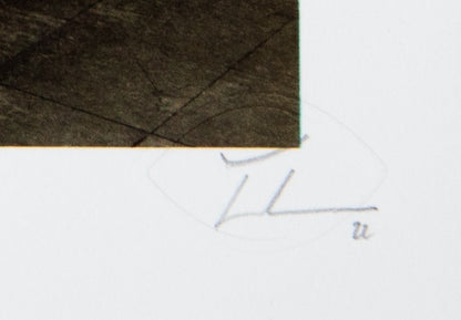 JR : Palais de Tokyo - Lithographie originale signée