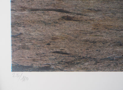 JR : Death Valley - Lithographie originale signée