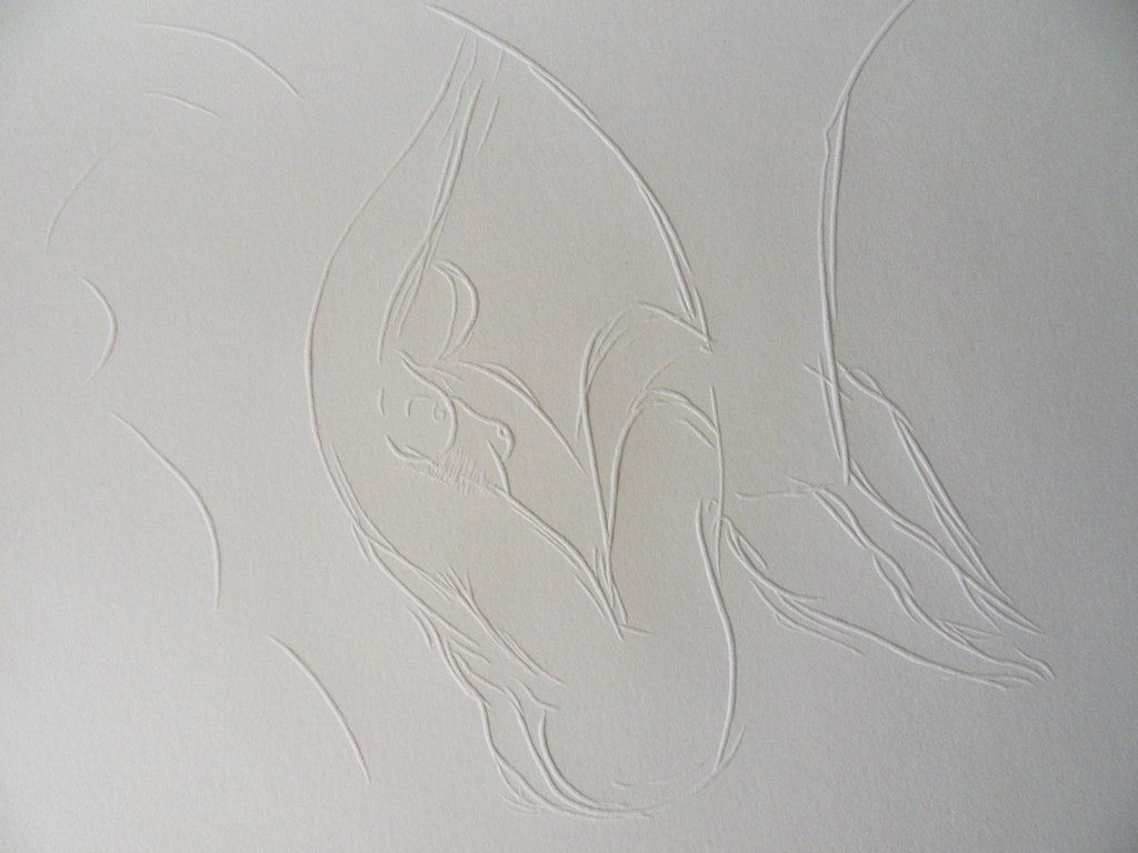 Henri MATISSE : Mérion en voltige - Gravure