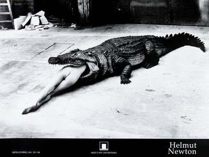 Helmut NEWTON : Le crocodile et la femme nue - Affiche originale