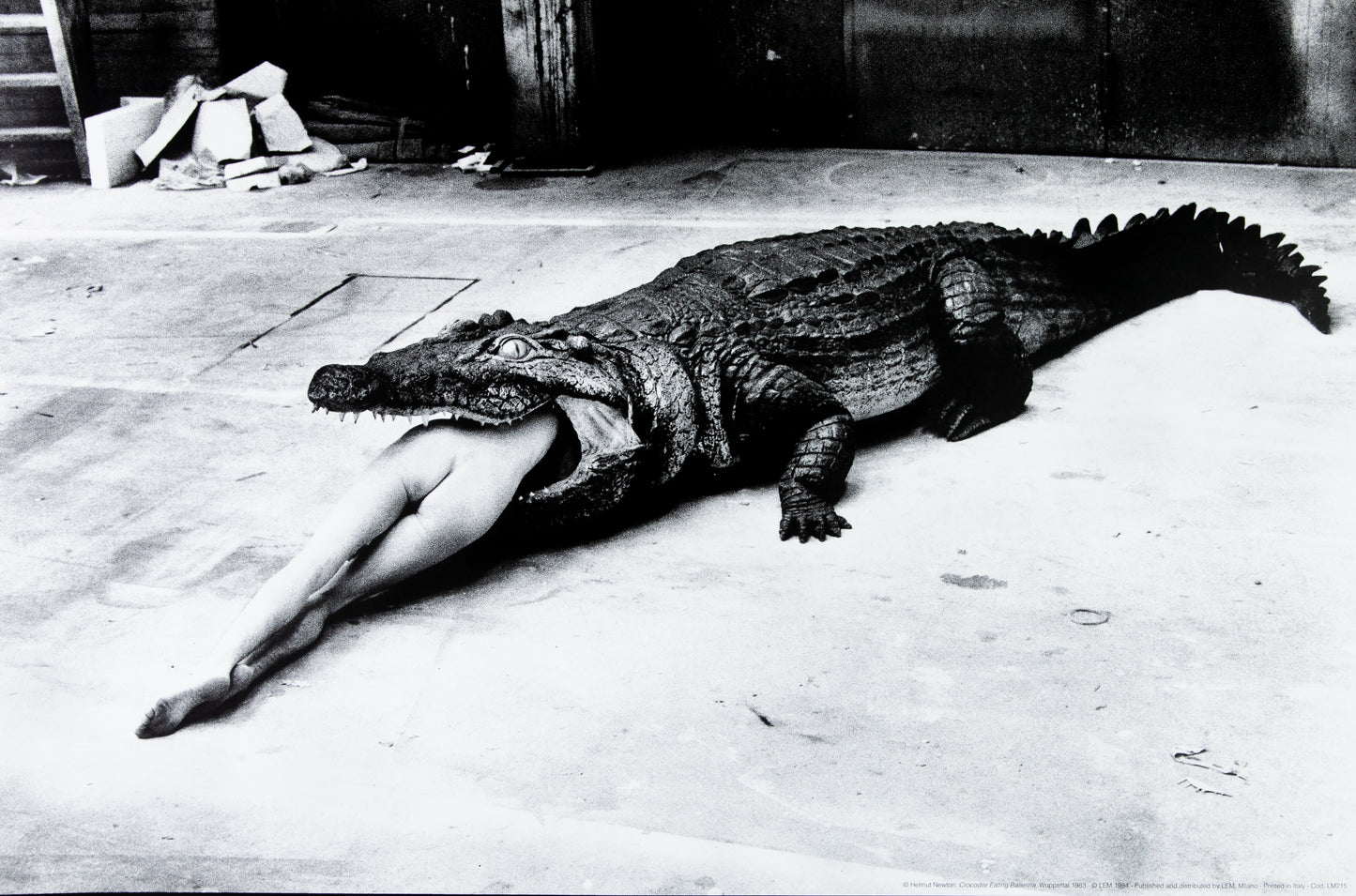 Helmut NEWTON : Le crocodile et la femme nue - Affiche originale
