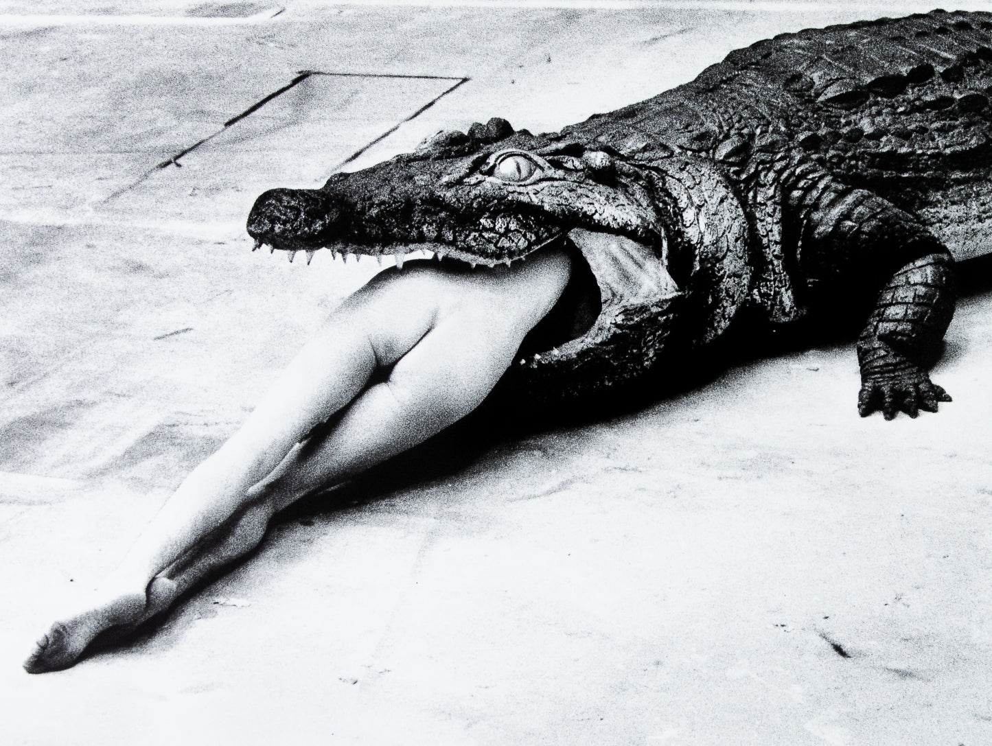 Helmut NEWTON : Le crocodile et la femme nue - Affiche originale