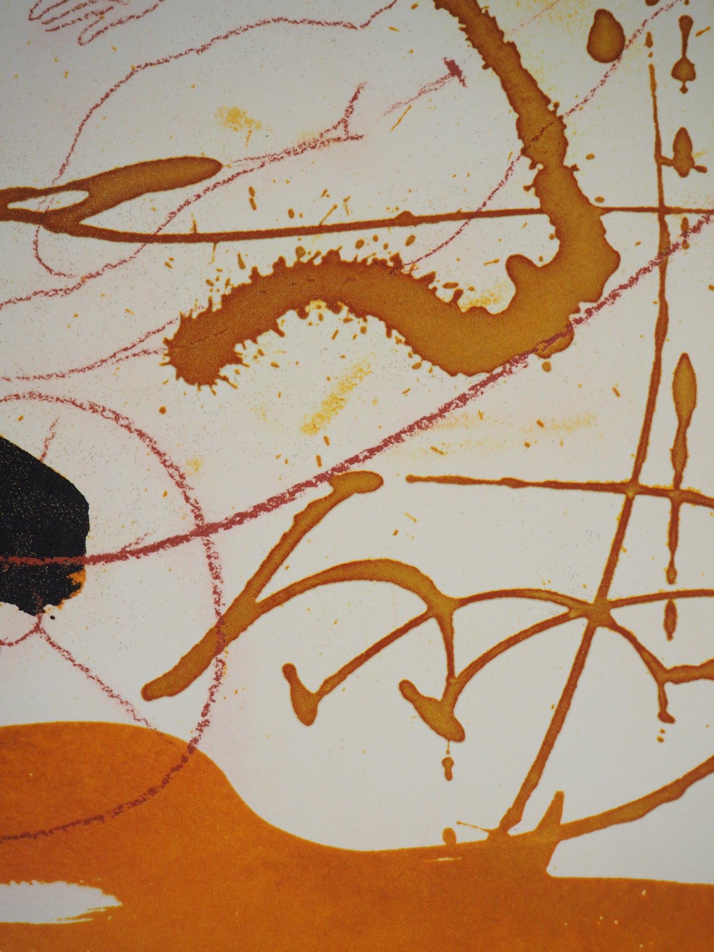 Salvador DALI : Le Char de Feu - Lithographie signée