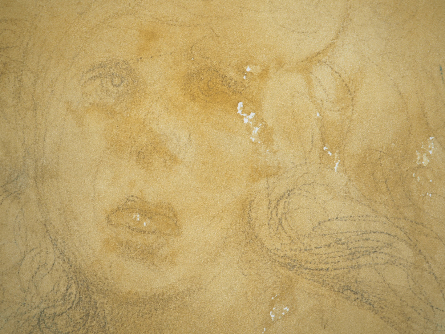 Salvador DALI : L’Amoureux - Lithographie signée