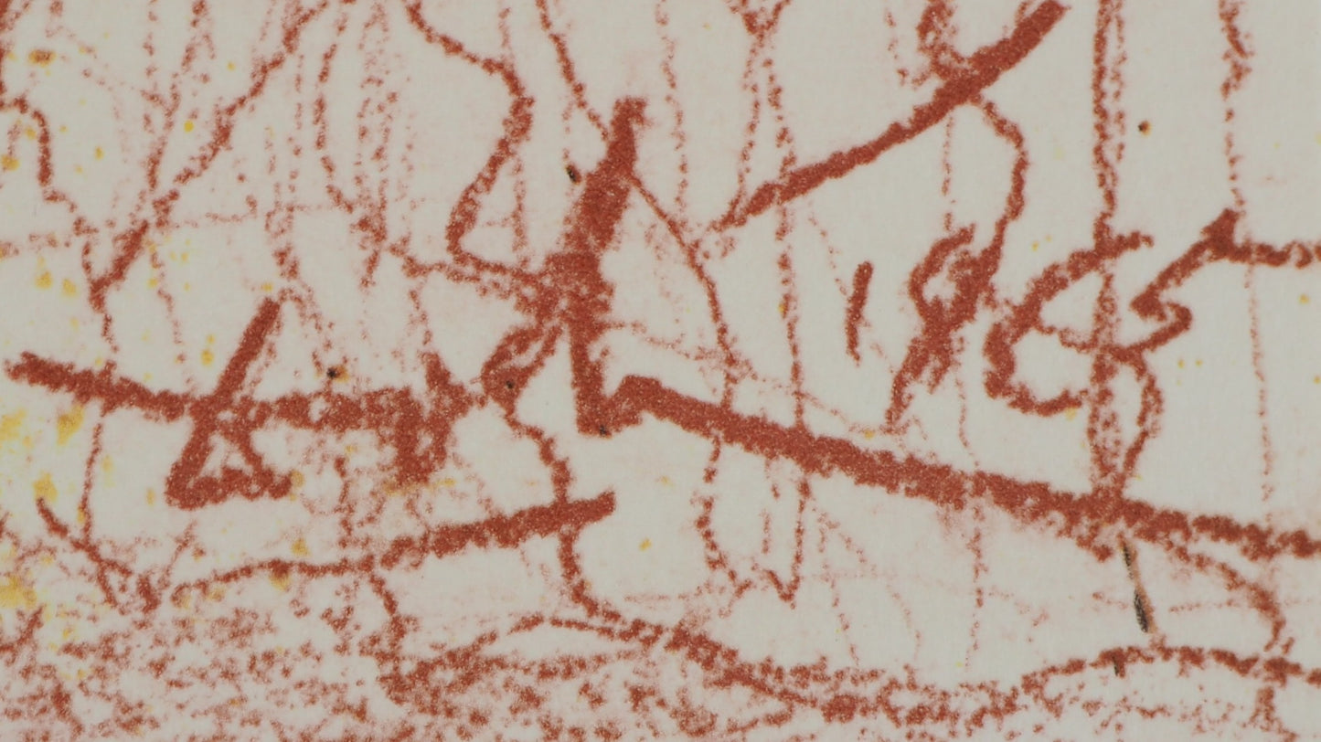 Salvador DALI : Le Dernier Repas - Lithographie signée