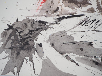 Salvador DALI : La Pietà - Lithographie signée