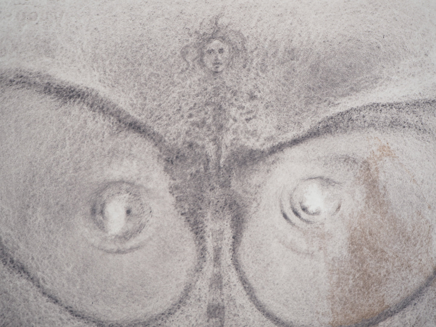 Salvador DALI : La Naissance - Lithographie signée