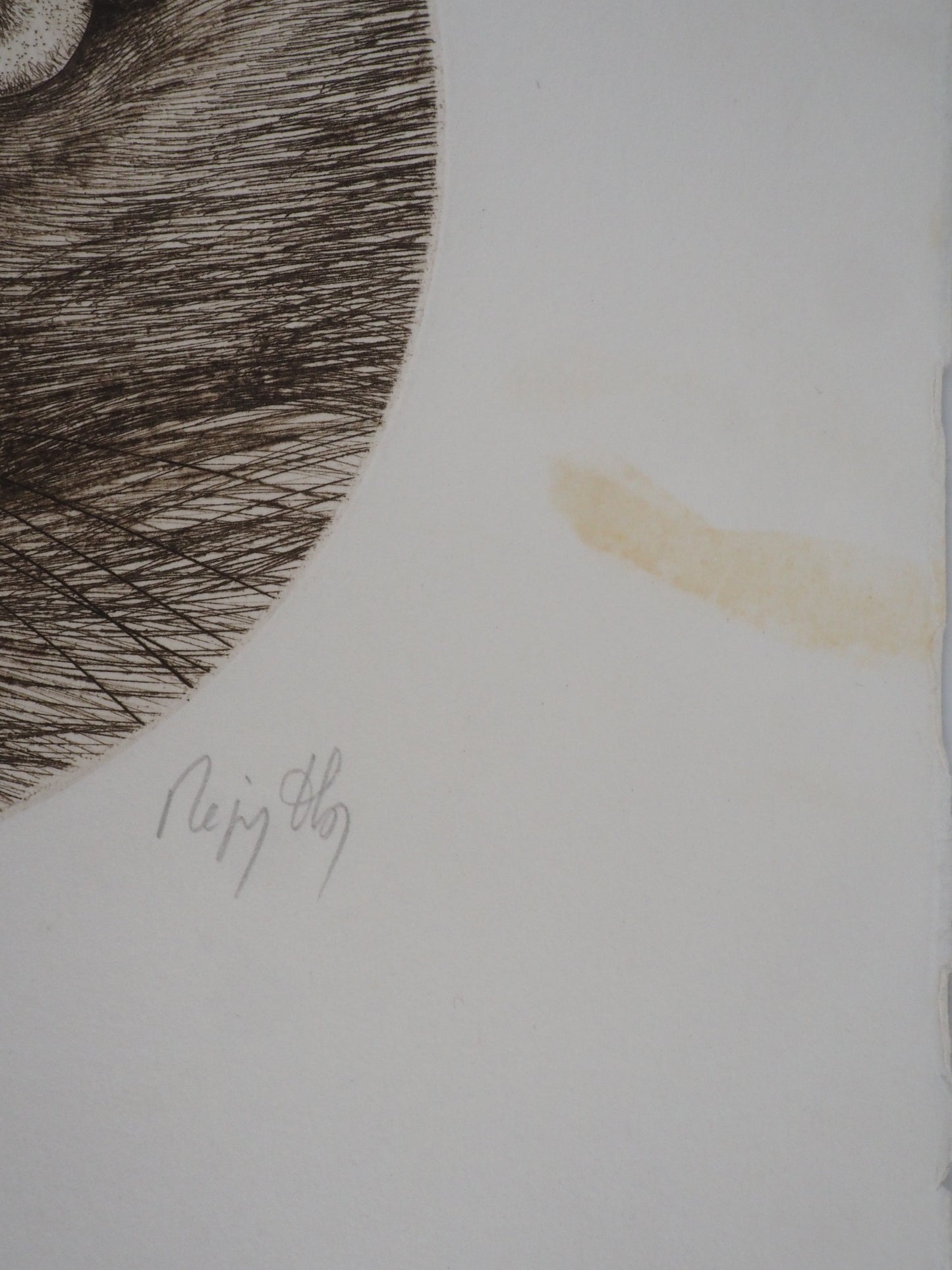 Régis DHO : Chat marron - Gravure originale signée