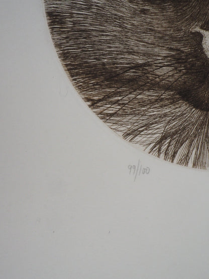 Régis DHO : Chat marron - Gravure originale signée