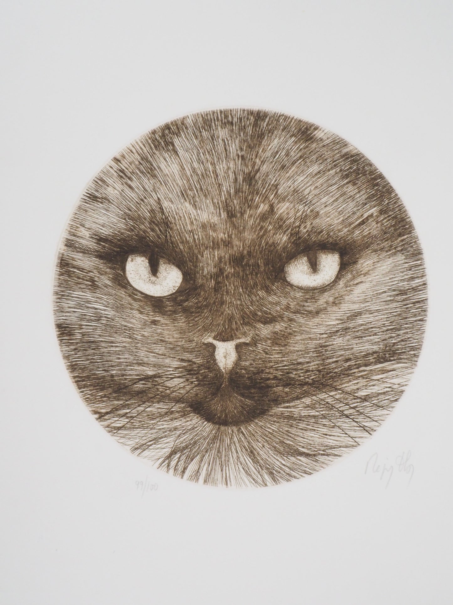 Régis DHO : Chat marron - Gravure originale signée