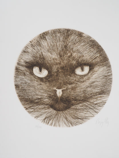 Régis DHO : Chat marron - Gravure originale signée