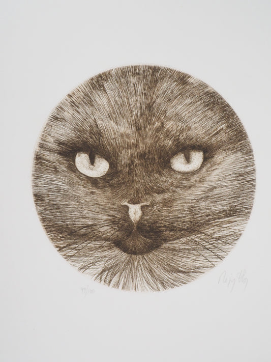 Régis DHO : Chat marron - Gravure originale signée