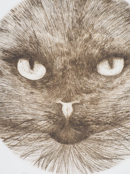 Régis DHO : Chat marron - Gravure originale signée