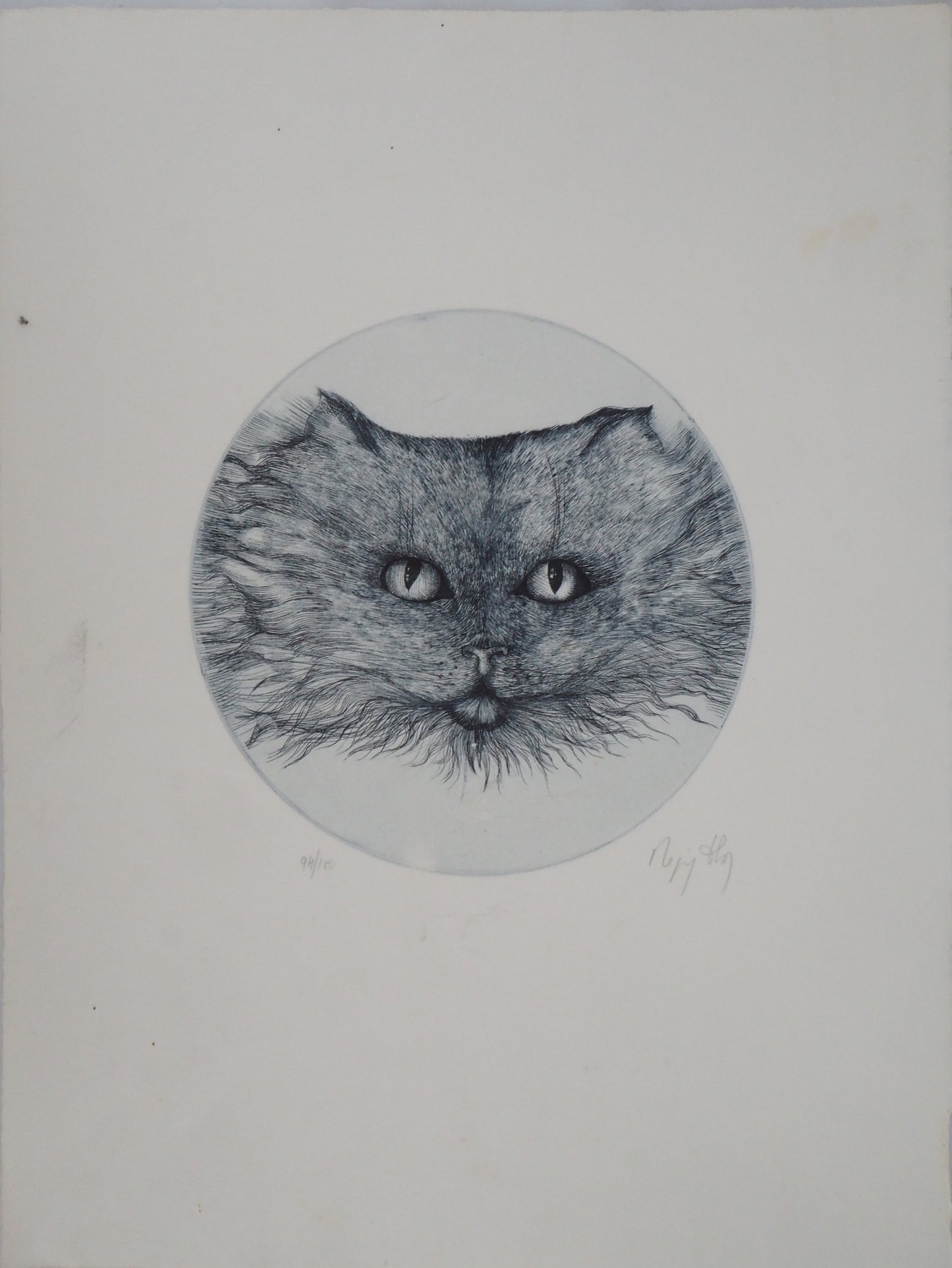 Régis DHO : Chat bleu - Gravure originale signée