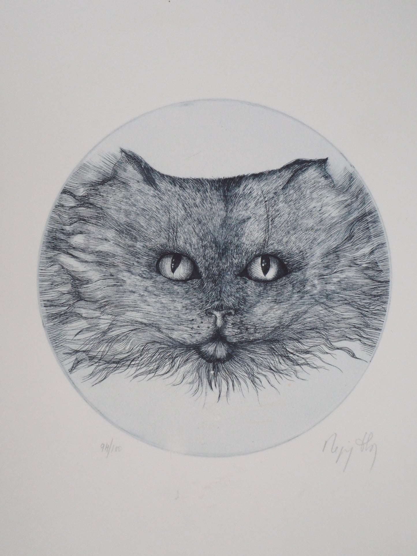 Régis DHO : Chat bleu - Gravure originale signée