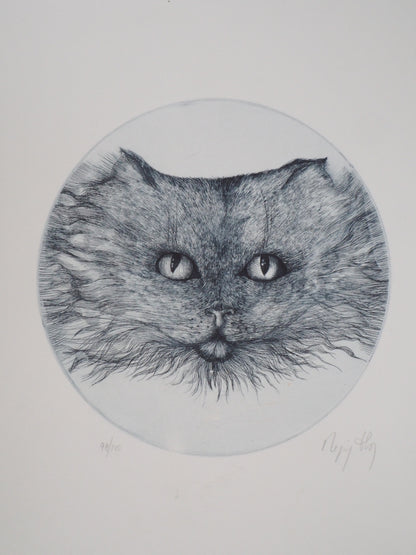 Régis DHO : Chat bleu - Gravure originale signée