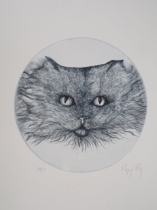 Régis DHO : Chat bleu - Gravure originale signée