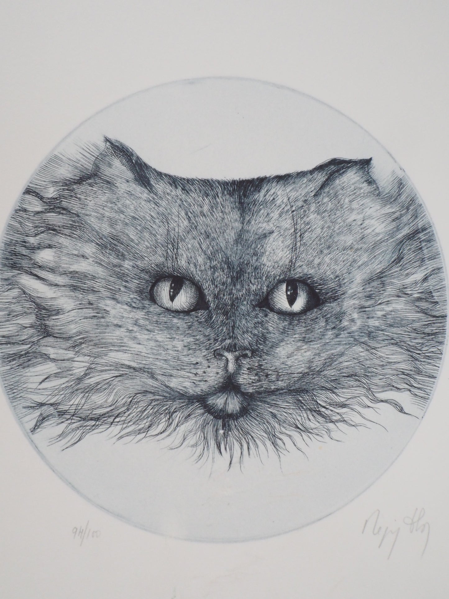 Régis DHO : Chat bleu - Gravure originale signée