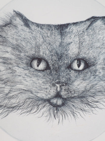 Régis DHO : Chat bleu - Gravure originale signée