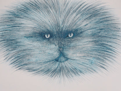 Régis DHO : Tête de chat bleuté - Gravure originale signée