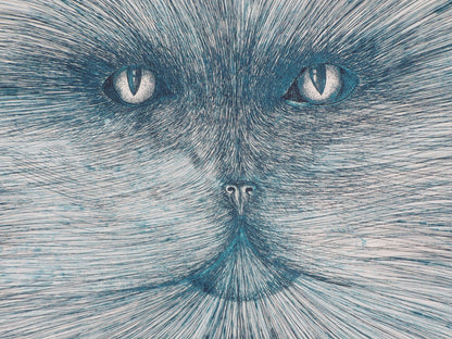 Régis DHO : Tête de chat bleuté - Gravure originale signée