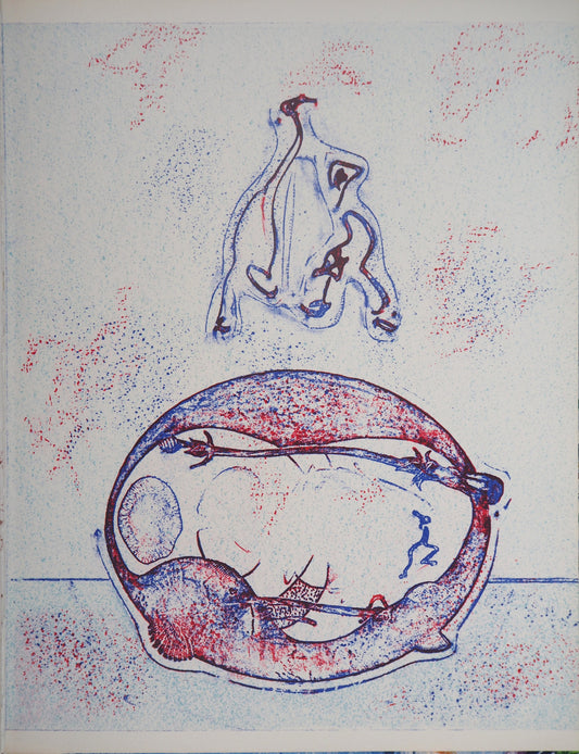 Max ERNST : Après moi le XXe siècle - Lithographie originale