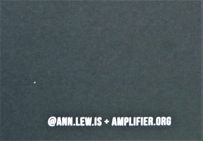 Ann LEWIS : The Revolution Evolves - Affiche originale