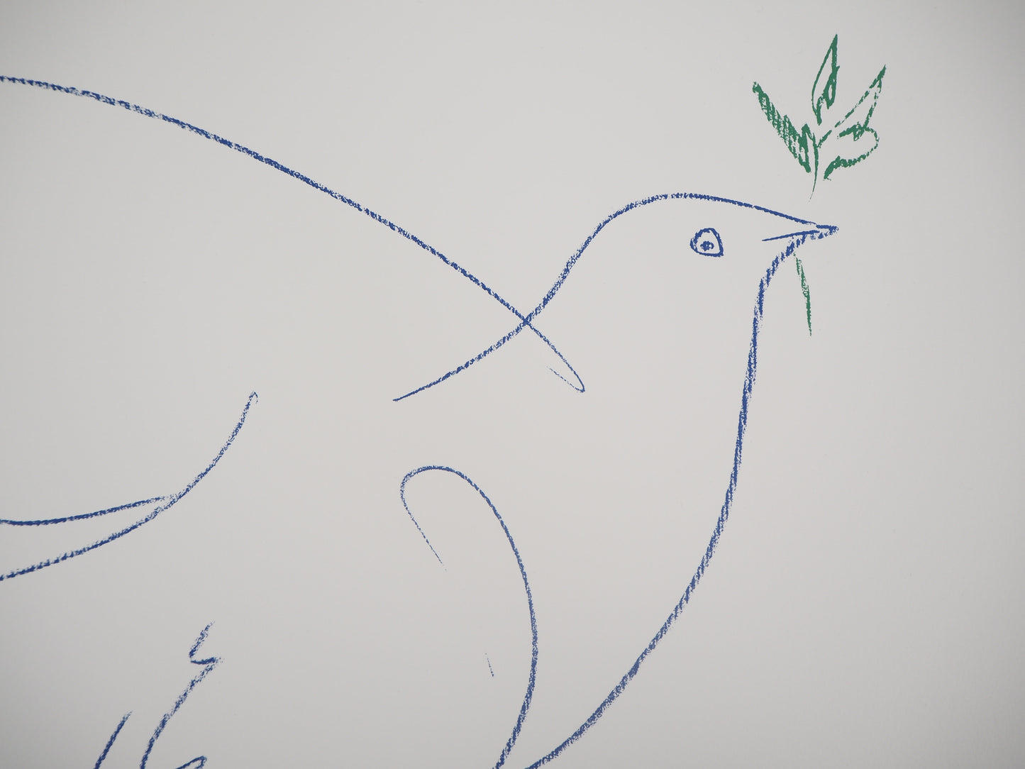 Pablo PICASSO : La colombe de la Paix - Lithographie signée