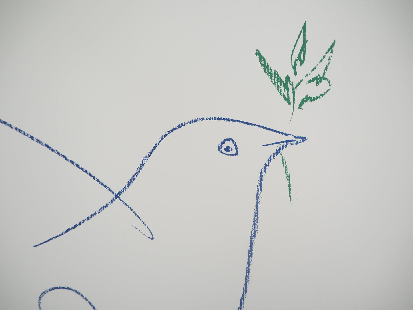 Pablo PICASSO : La colombe de la Paix - Lithographie signée