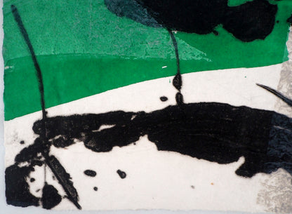 LIONEL : L'Origine du vert - Gravure originale signée