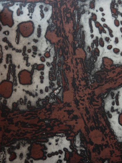 Zoran MUSIC : Terres Dalmates - Lithographie originale