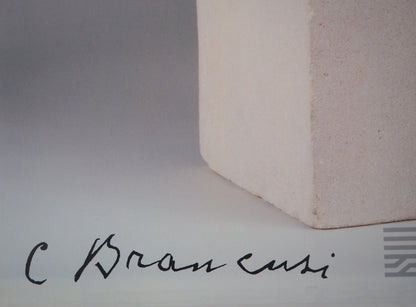 Constantin BRANCUSI : Muse endormie - Affiche originale