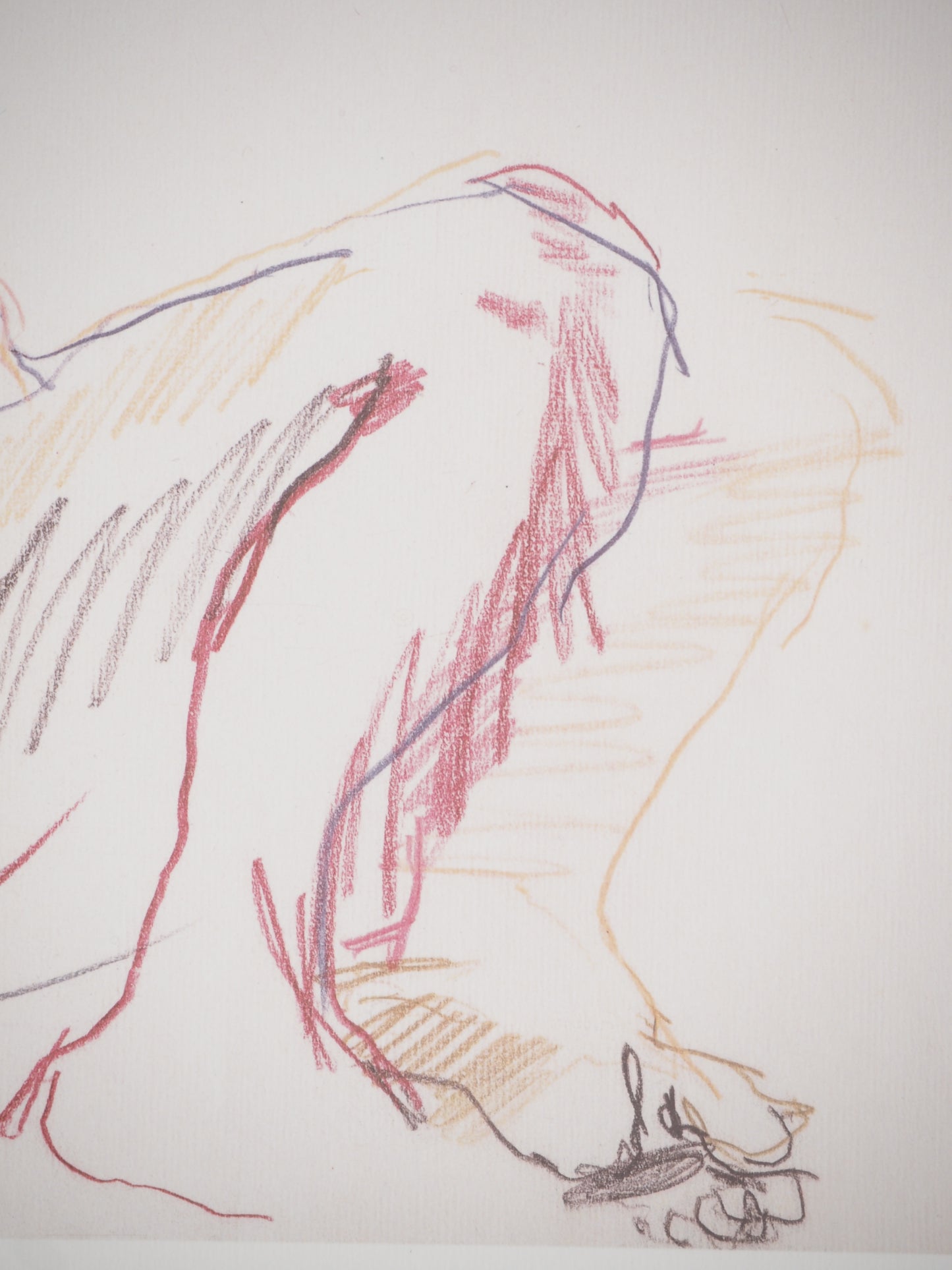 Oskar KOKOSCHKA : Femme assise - Lithographie