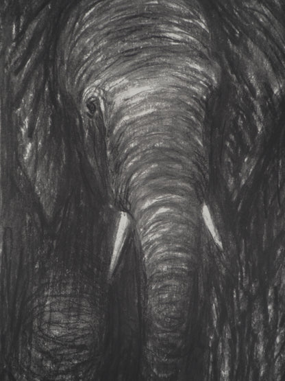 Henry MOORE : Eléphants dans la forêt - Lithographie signée