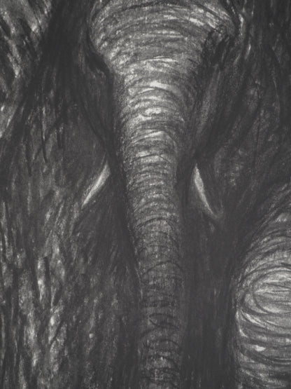 Henry MOORE : Eléphants dans la forêt - Lithographie signée