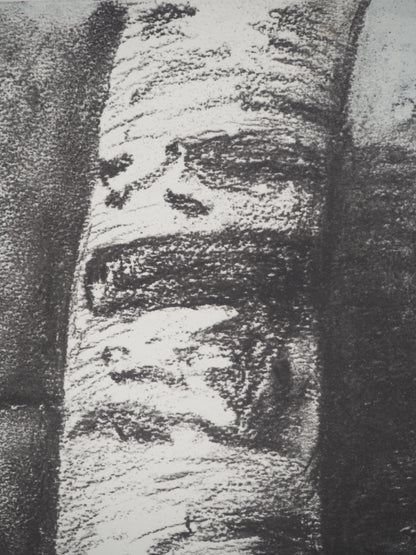 Henry MOORE : Tronc de hêtre - Lithographie signée