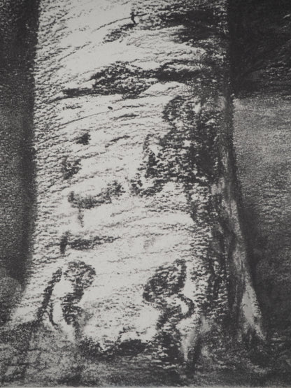 Henry MOORE : Tronc de hêtre - Lithographie signée