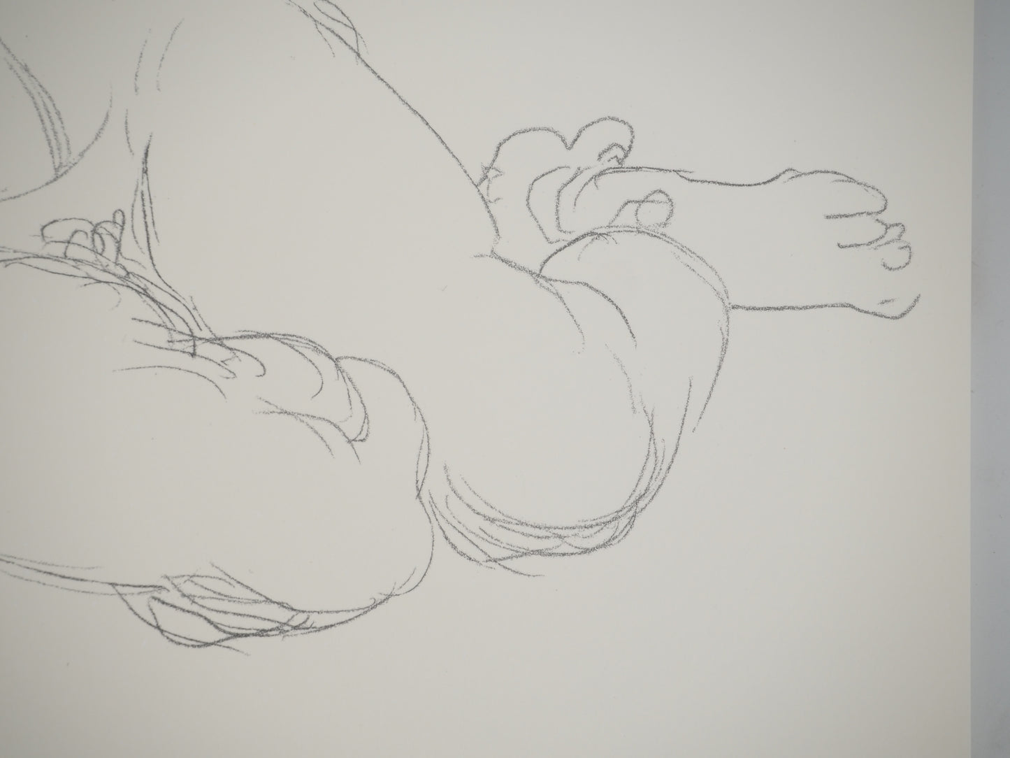 Henri MATISSE : Nu au repos - Lithographie signée
