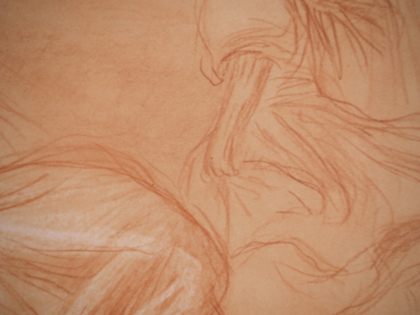 Pierre Auguste RENOIR : Dans la cour de récréation - Lithographie signée