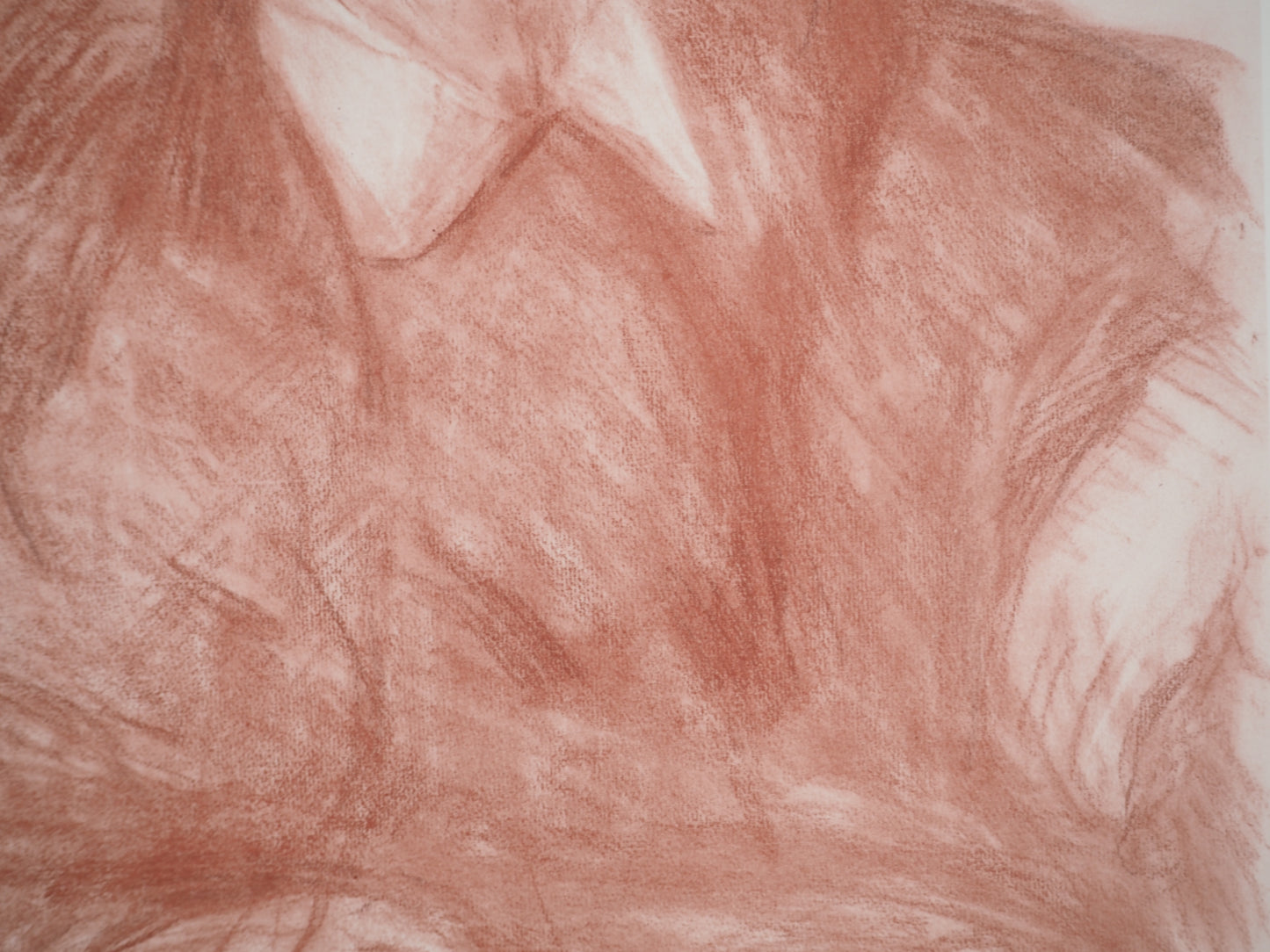 Pierre Auguste RENOIR : Jeune Fille au Béret - Lithographie signée