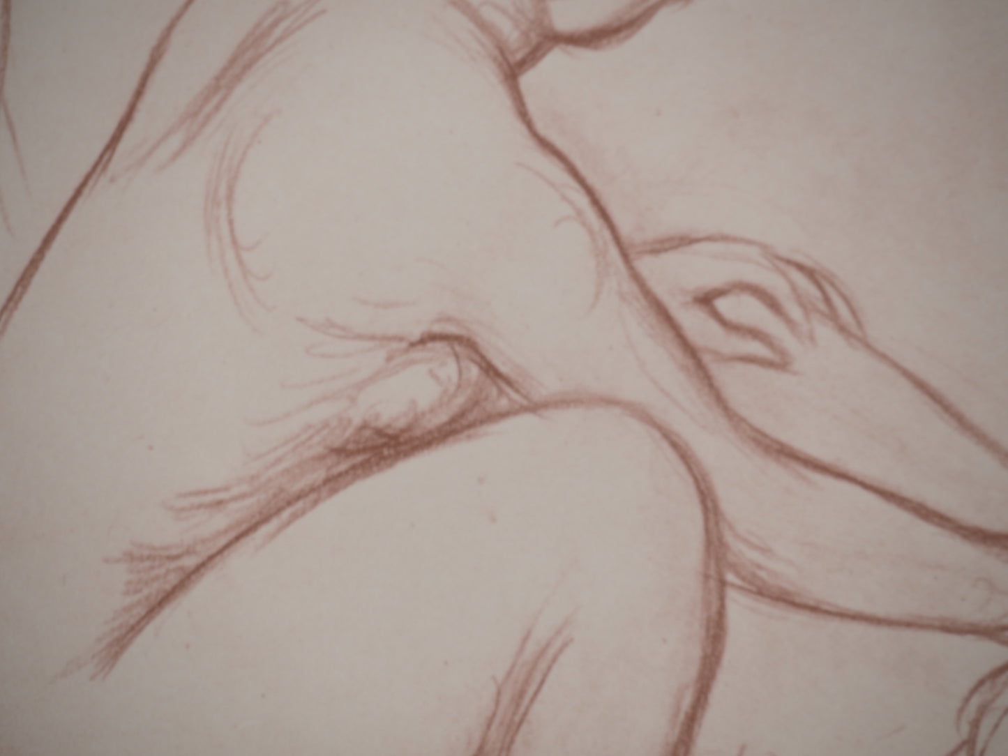 Pierre Auguste RENOIR : Femme à la toilette - Lithographie signée