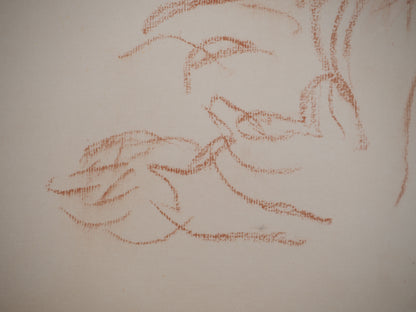 Pierre Auguste RENOIR : Portrait d'Enfant - Lithographie