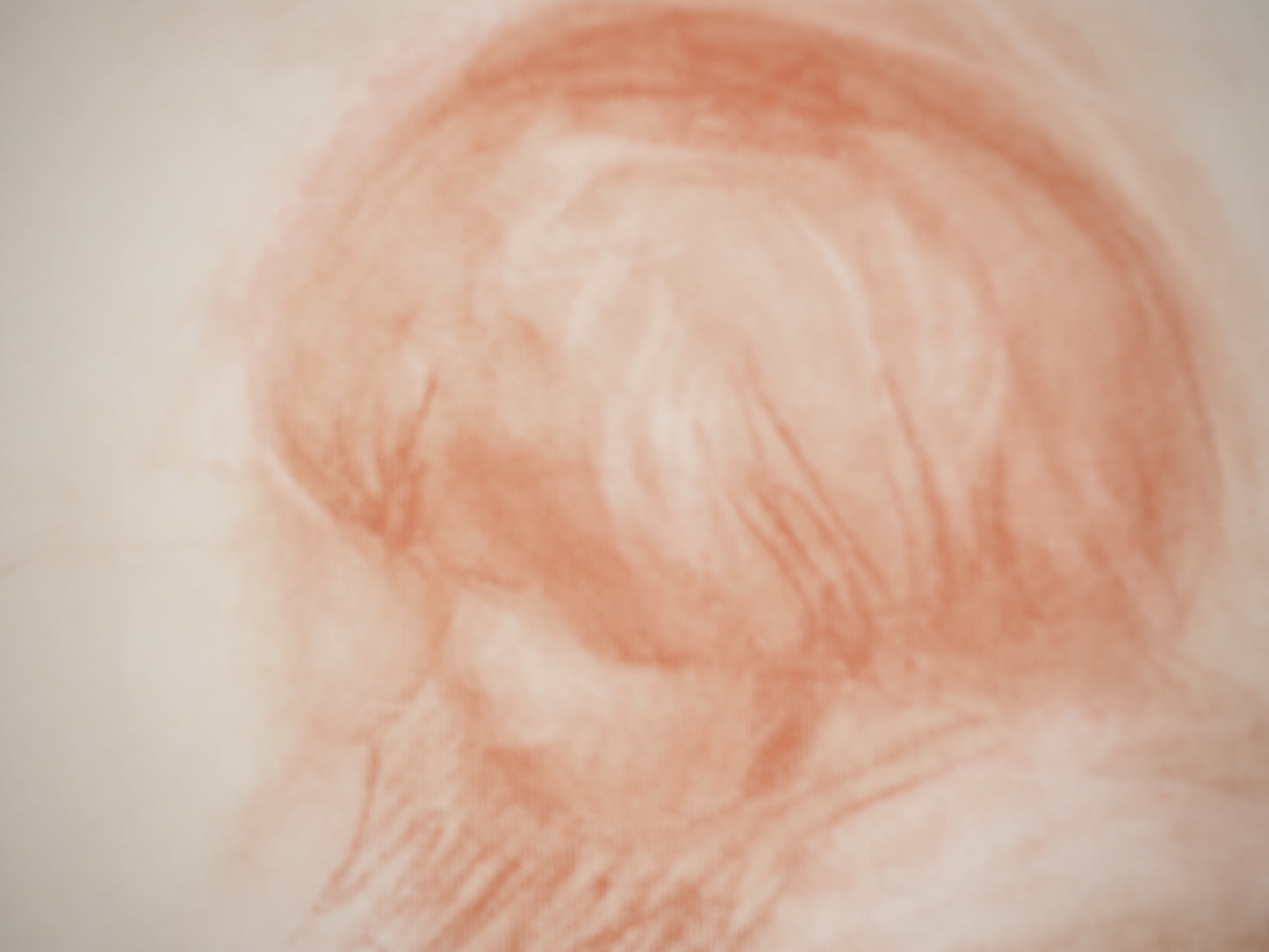 Pierre Auguste RENOIR : Portrait d'Enfant - Lithographie