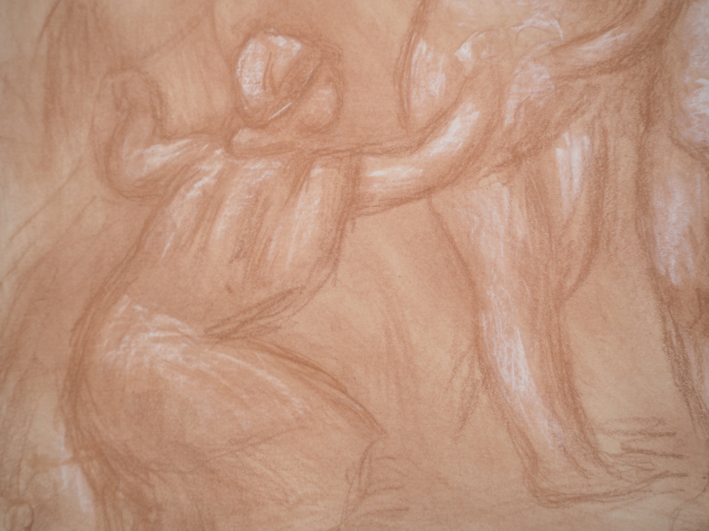Pierre Auguste RENOIR : Le jugement de Paris - Lithographie