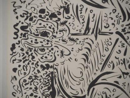 André MASSON : Fleurs et torrent - Lithographie