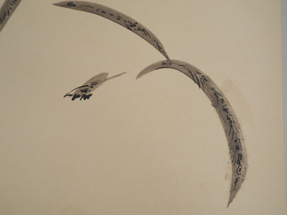 André MASSON : Fouine - Lithographie signée
