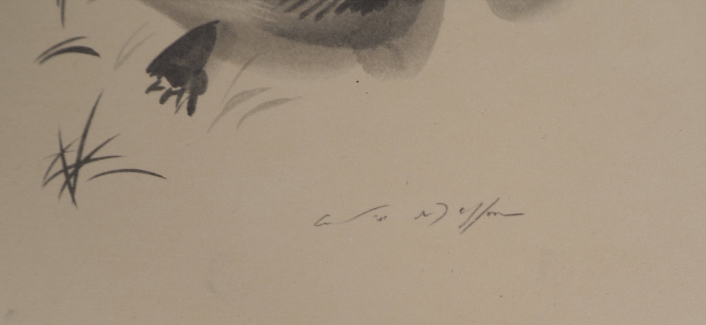 André MASSON : Fouine prise au piège - Lithographie signée