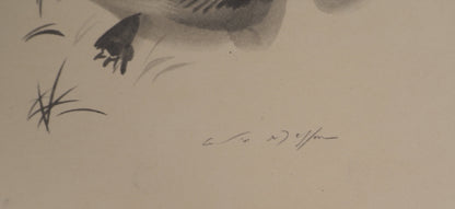 André MASSON : Fouine prise au piège - Lithographie signée